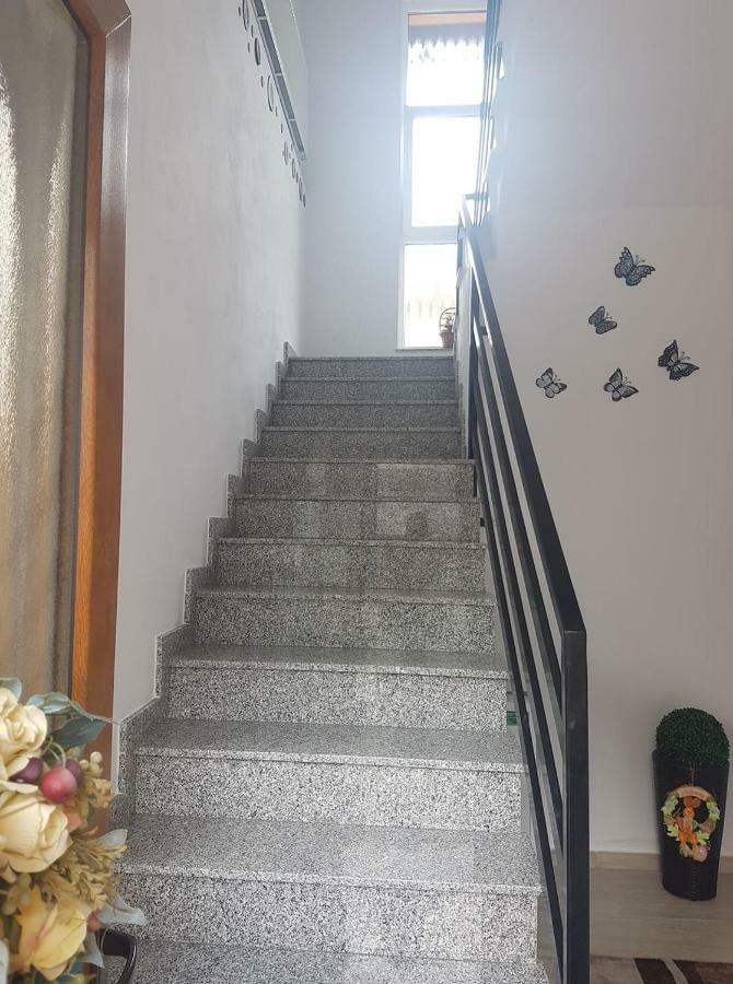 Pensiunea Doce Viseu de Sus Bagian luar foto